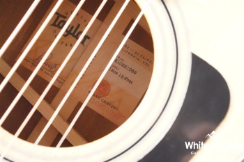 312ce 12Fret V-Class